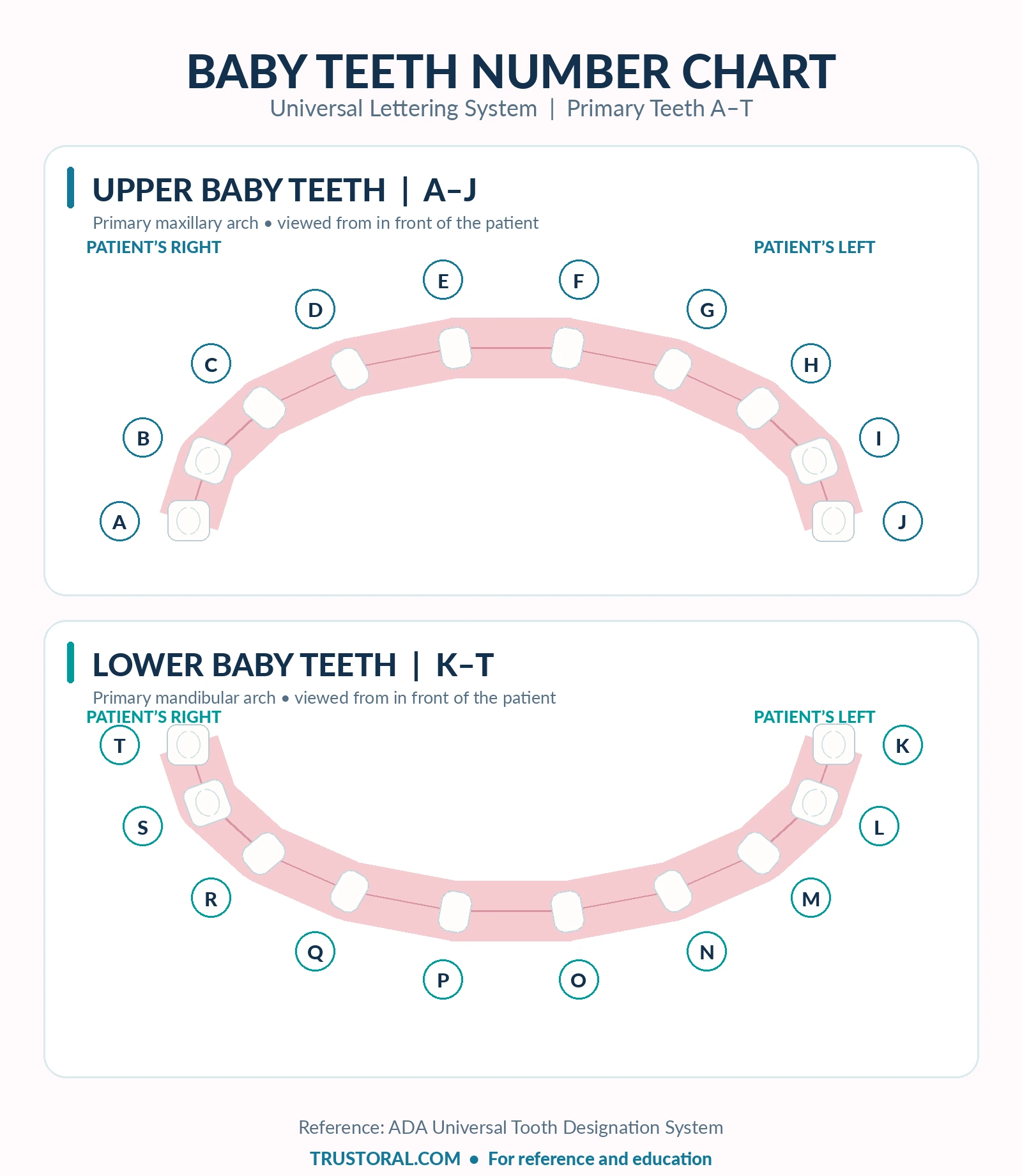 Baby teeth letter chart showing primary teeth A–T from the patient's perspective